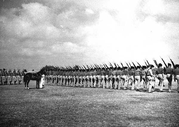 Images/1 LF colour Troop 1951321.jpg